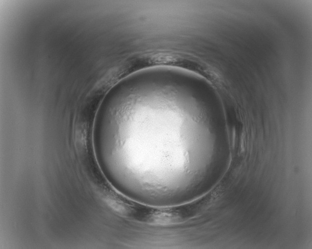 X0000079300315200611251720