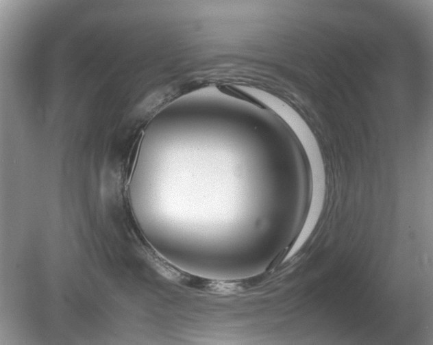 X0000079300333200611251719