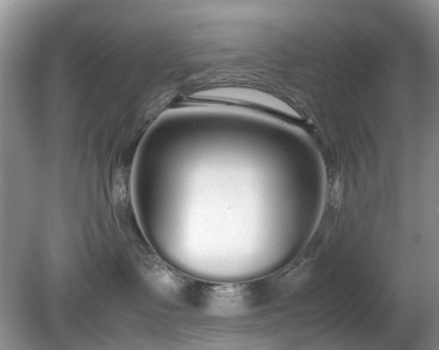 X0000079300335200611251719