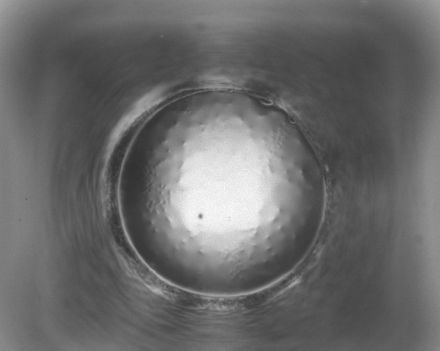 X0000079300343200611251719