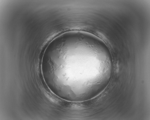 X0000079300346200611251719