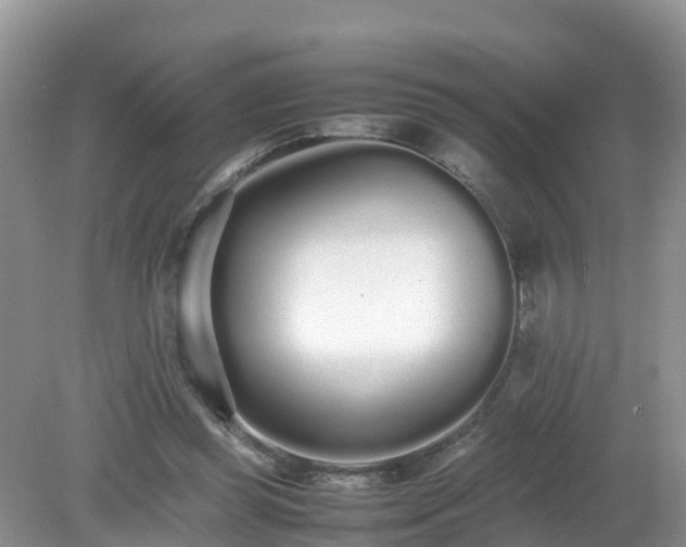 X0000079300349200611251719