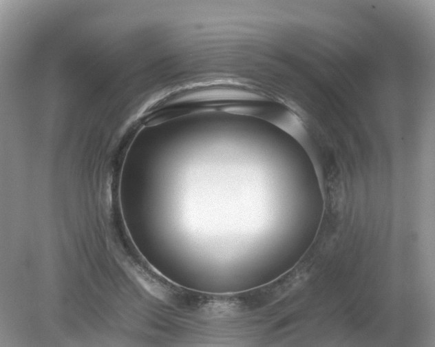 X0000079300350200611251719