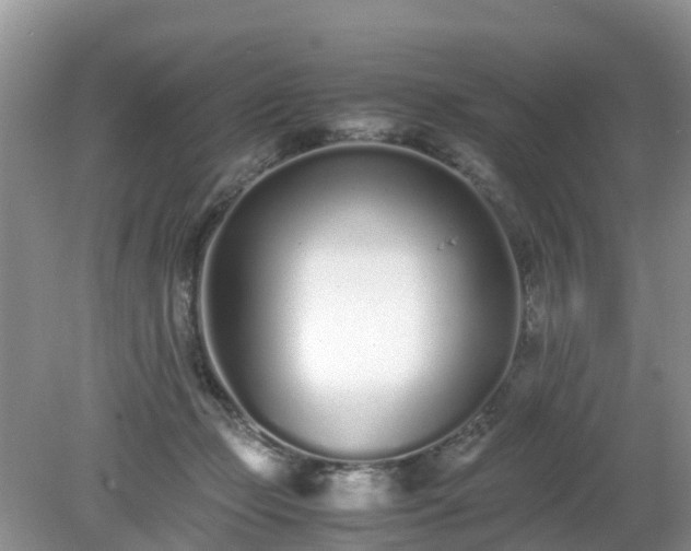 X0000079300365200611251719