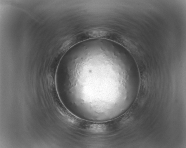 X0000079300371200611251719