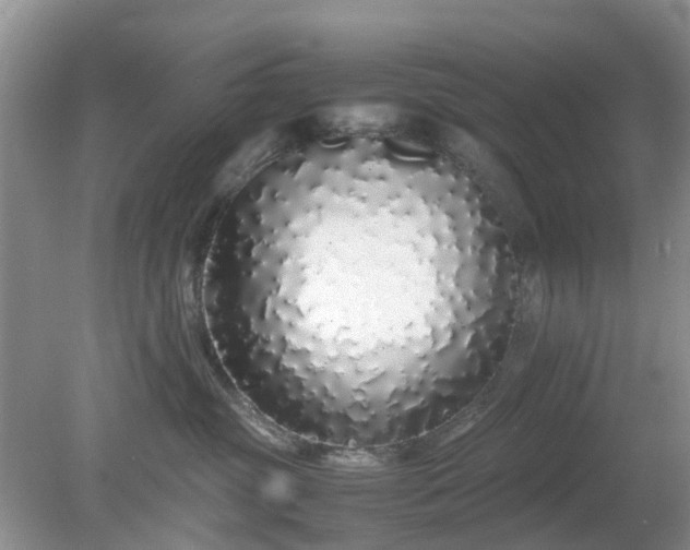 X0000079300381200611251719