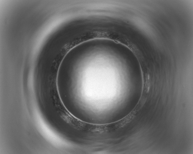 X0000079300383200611251719