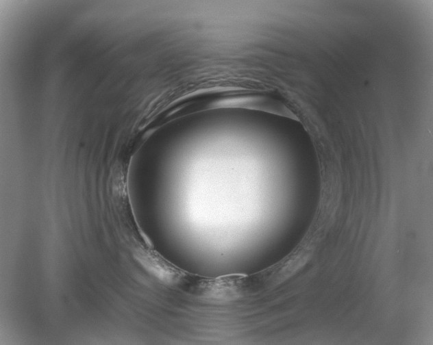 X0000079300384200611251719