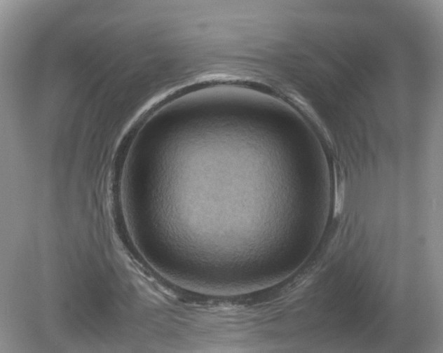 X0000079300387200611251718