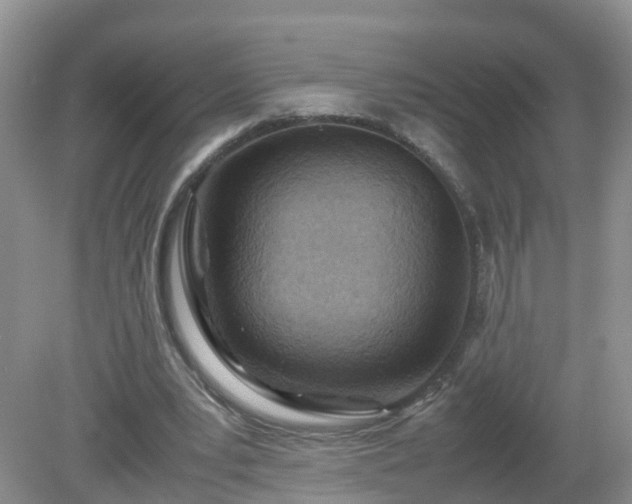 X0000079300391200611251718
