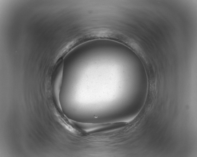 X0000079300397200611251718