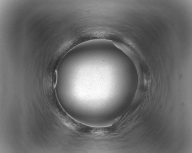 X0000079300407200611251718