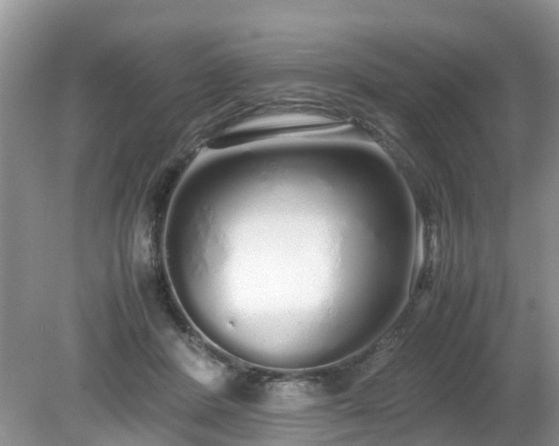 X0000079300408200611251718