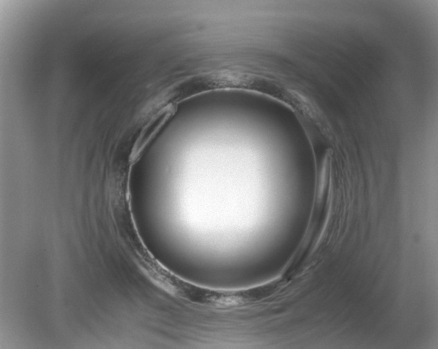 X0000079300409200611251718