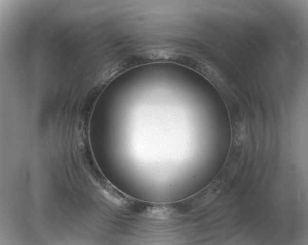 X0000079300414200611251718