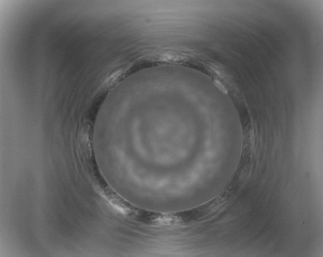 X0000079300415200611251718