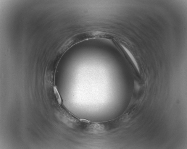 X0000079300421200611251718