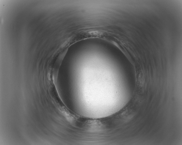 X0000079300424200611251718