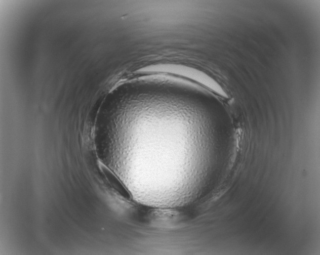 X0000079300429200611251718