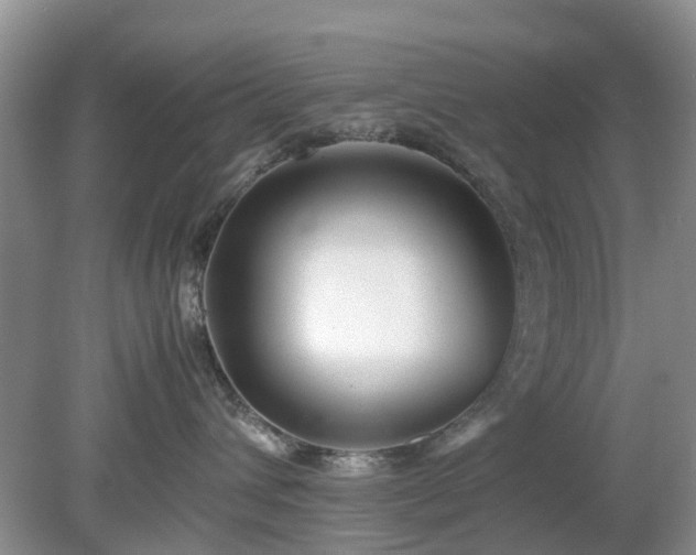 X0000079300432200611251718