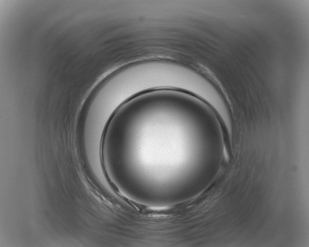 X0000079300435200611251717