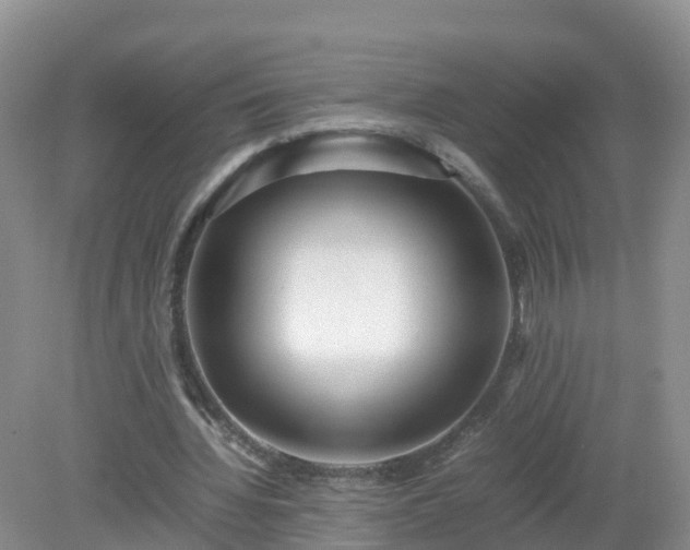 X0000079300436200611251717