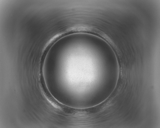 X0000079300438200611251717