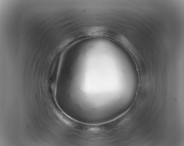 X0000079300441200611251717