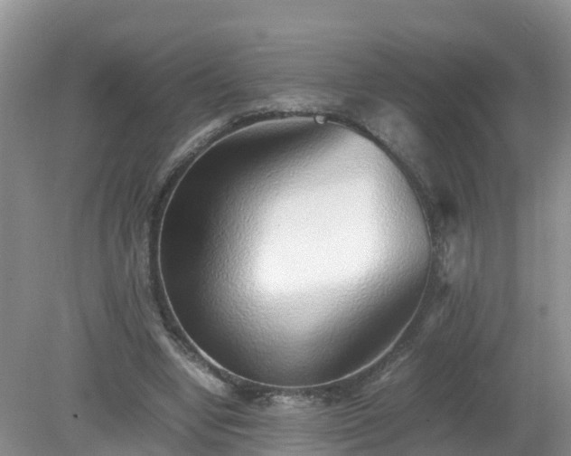 X0000079300442200611251717