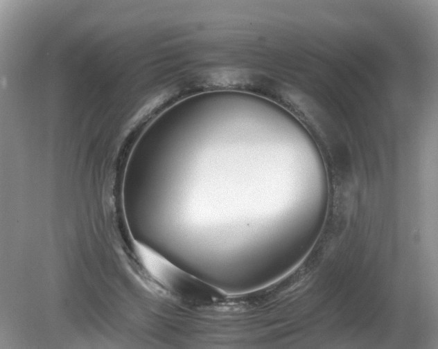 X0000079300443200611251717