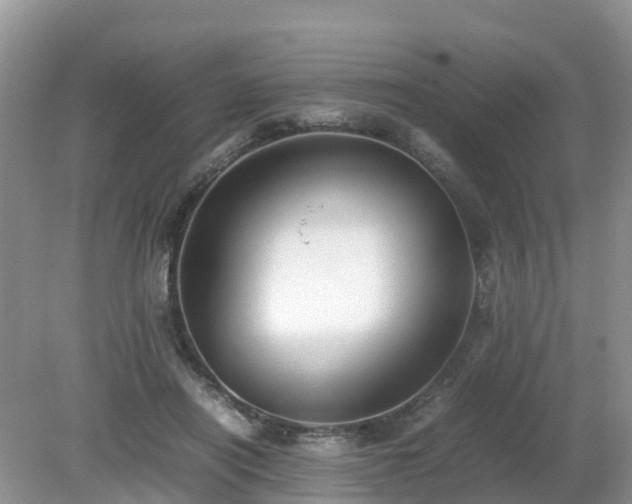 X0000079300454200611251717