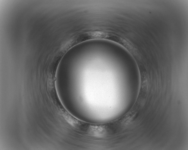 X0000079300469200611251717