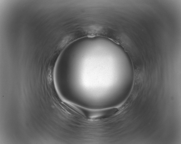 X0000079300479200611251718