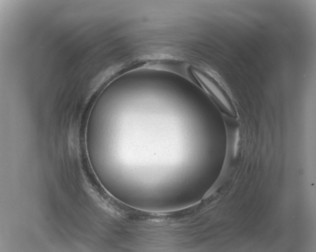 X0000079300482200611251717