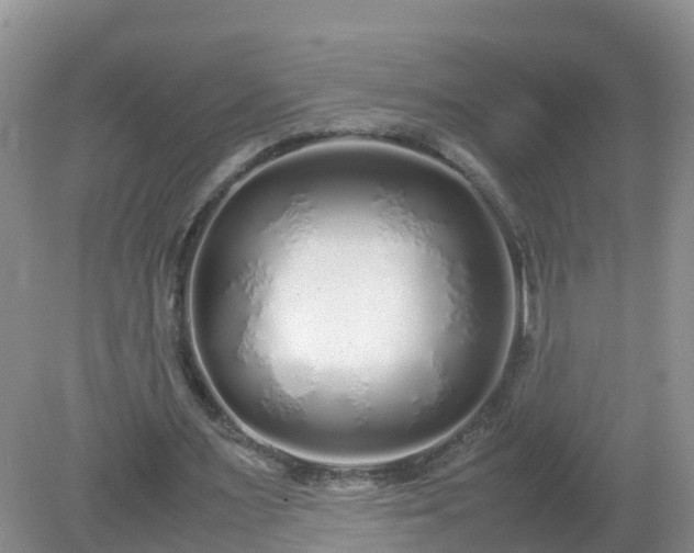 X0000079300483200611251717