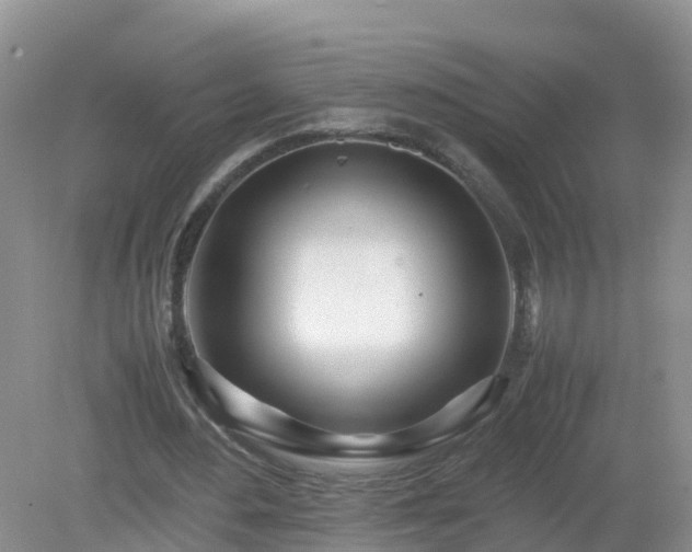 X0000079300484200611251717