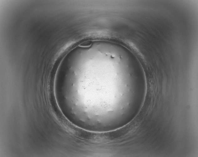 X0000079300487200611251717