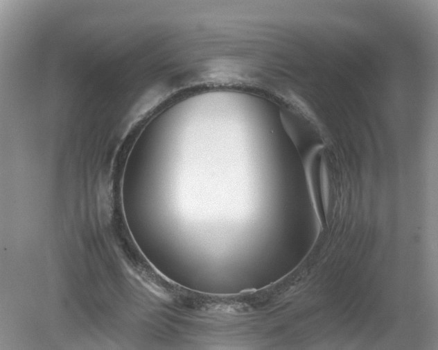 X0000079300488200611251717