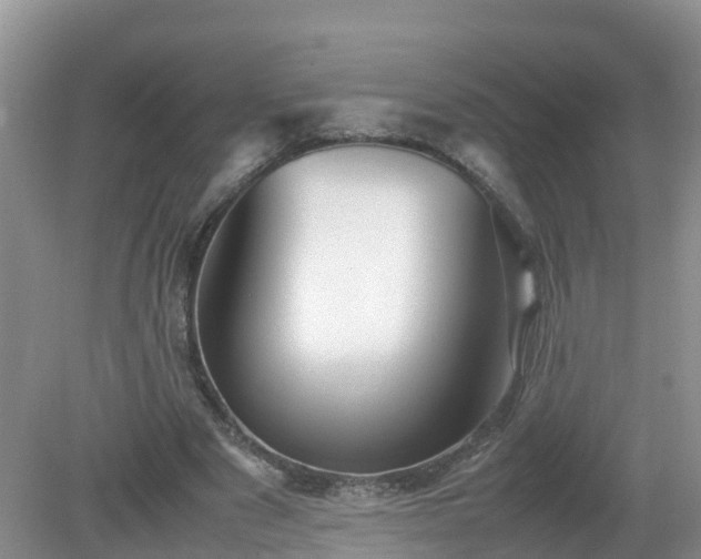 X0000079300489200611251717