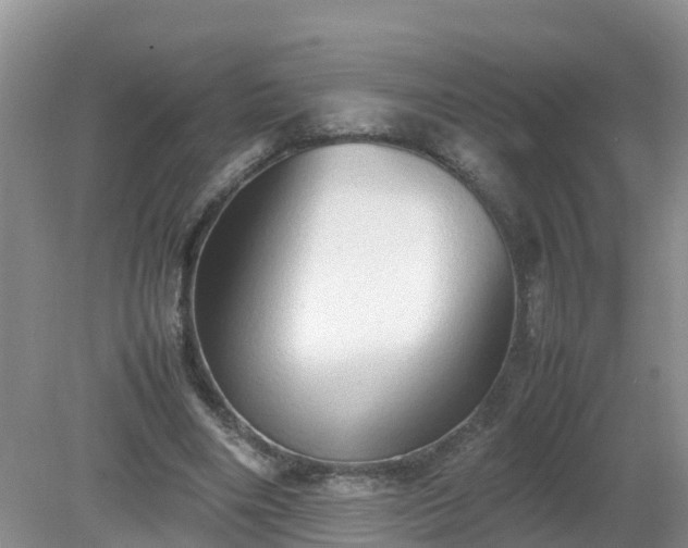 X0000079300490200611251717