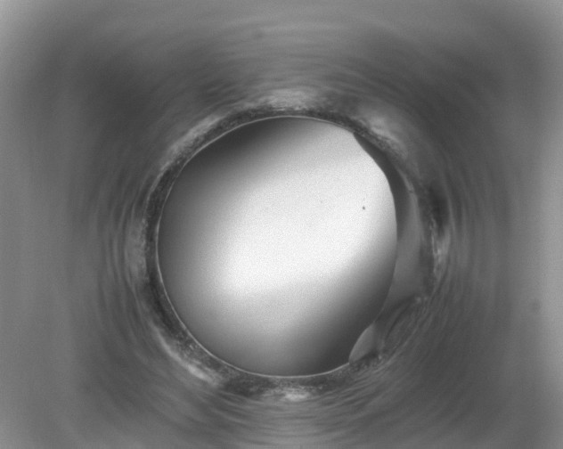 X0000079300492200611251717