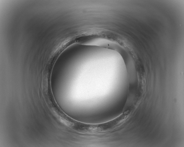 X0000079300493200611251717