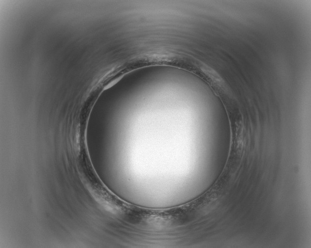 X0000079300494200611251717