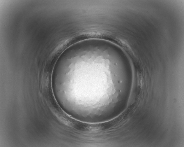 X0000079300495200611251717