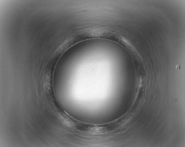 X0000079300497200611251717