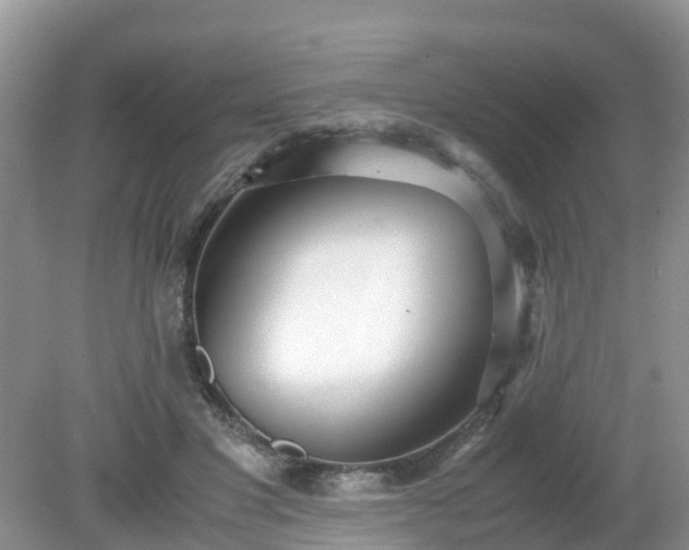 X0000079300501200611251716