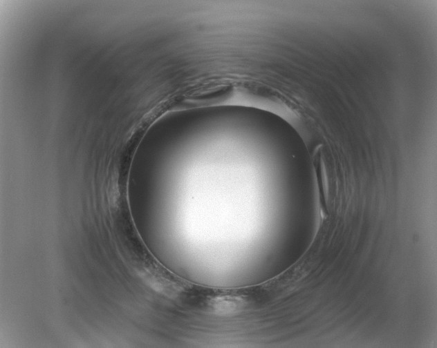 X0000079300508200611251716