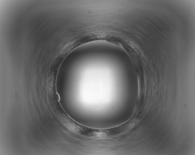 X0000079300509200611251716