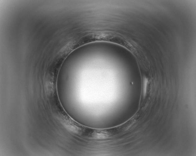 X0000079300510200611251716