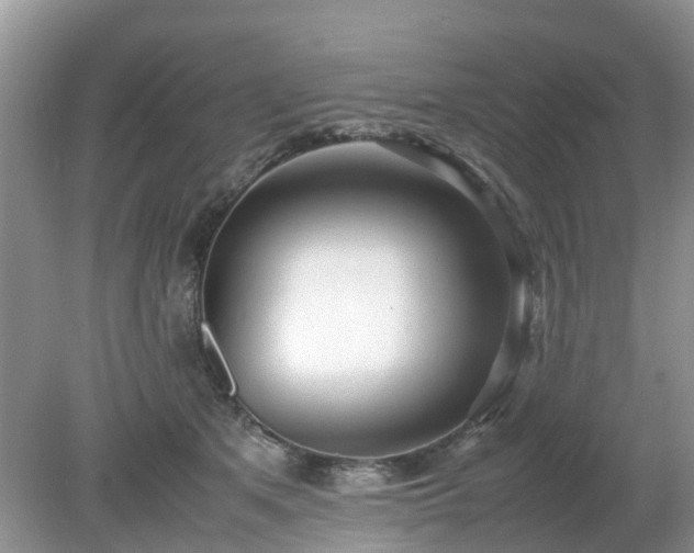 X0000079300513200611251716